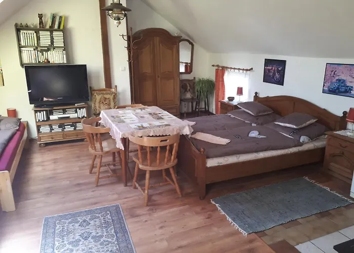 Chalupa, 3x Apartmany, 11 Luzek. * Sedlec-Prcice